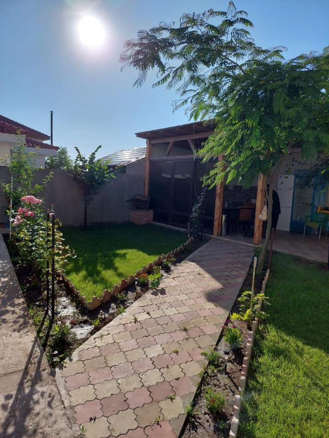 Albdevara Mar Srl Vama Veche Esterno foto